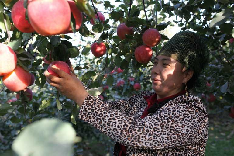 Закон о сокращенном рабочем дне для женщин в сельской местности в 2019-2020 годах