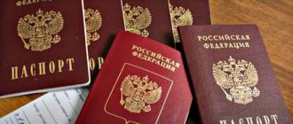 Какие документы удостоверяют личность гражданина РФ – список в 2020-2021 годах